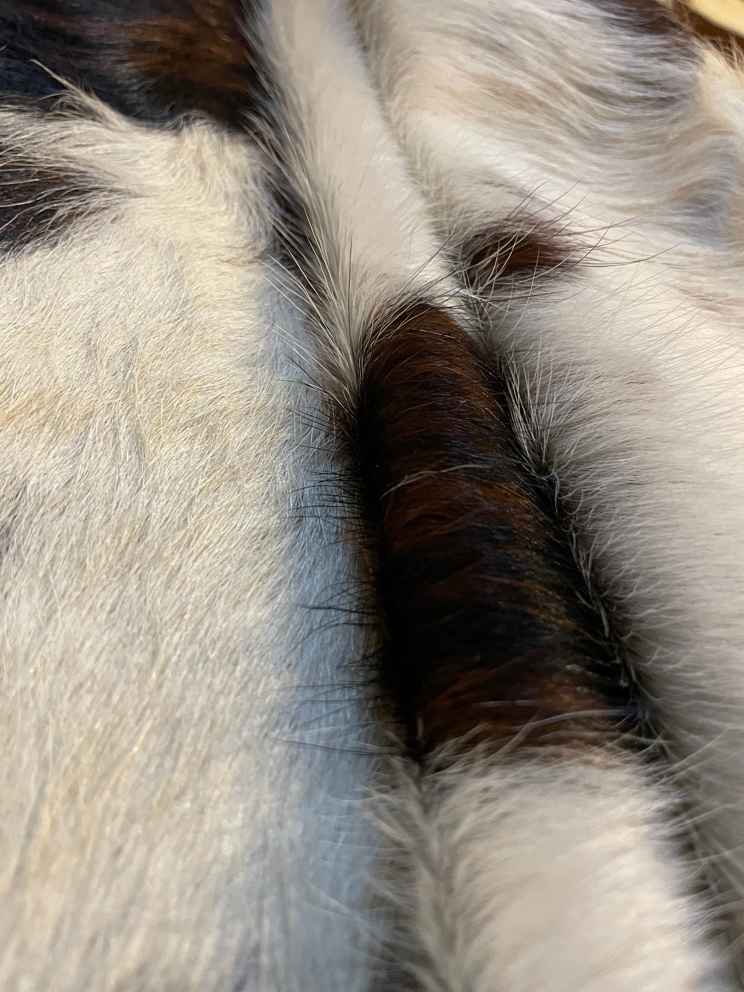 Salt and Pepper Cowhide Rug