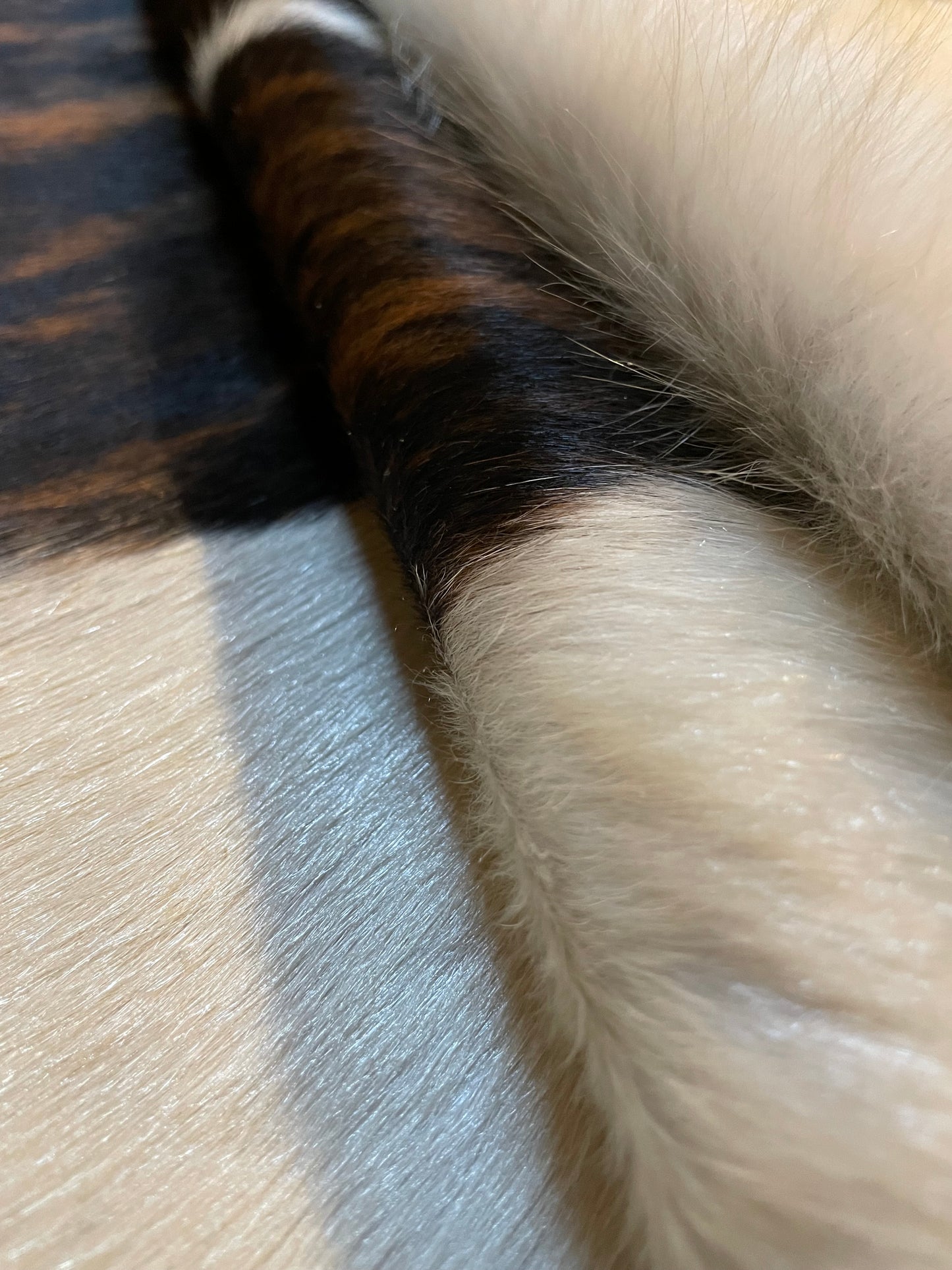 Tricolor Cowhide Rug