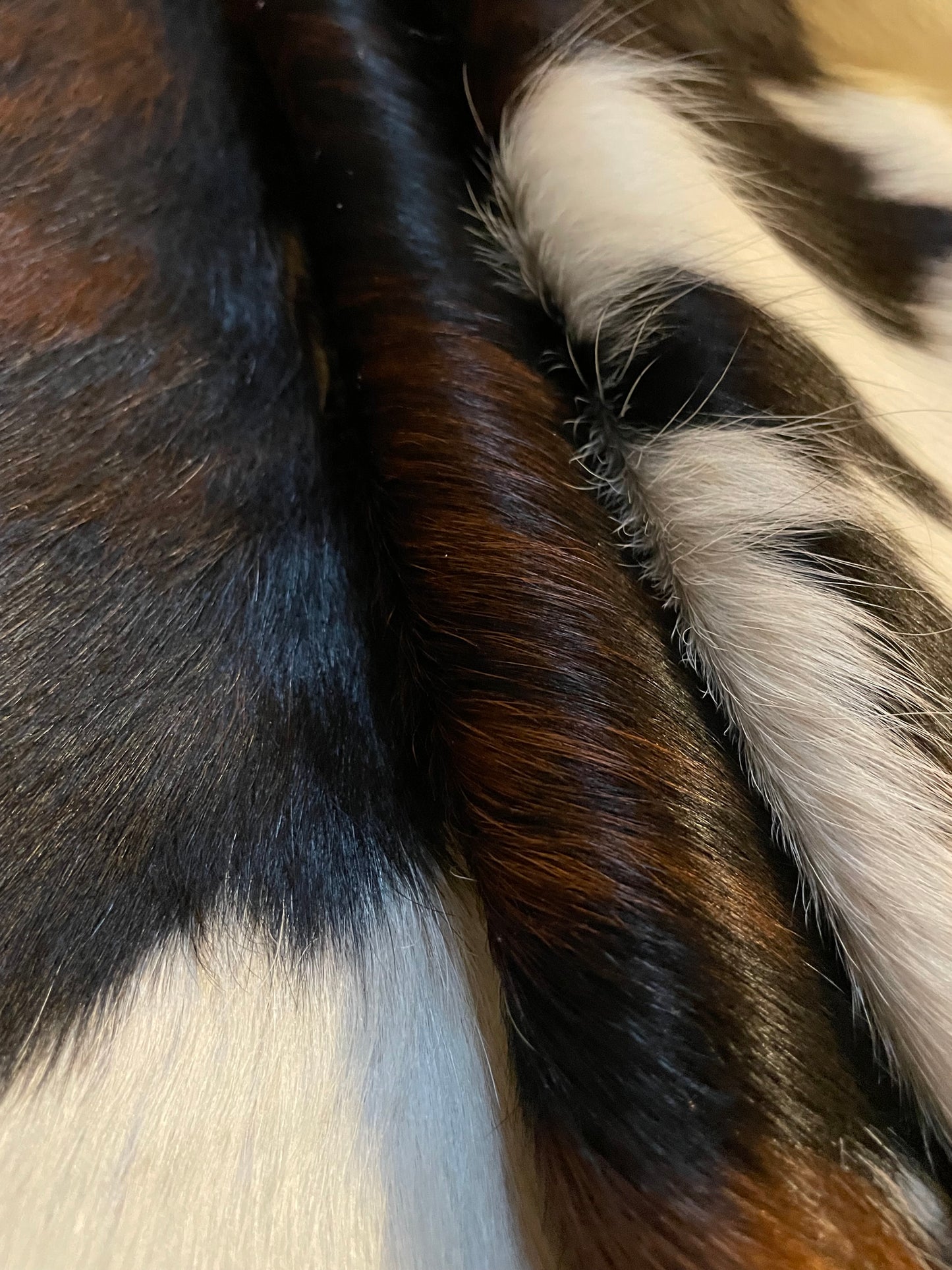 Tricolor Cowhide Rug