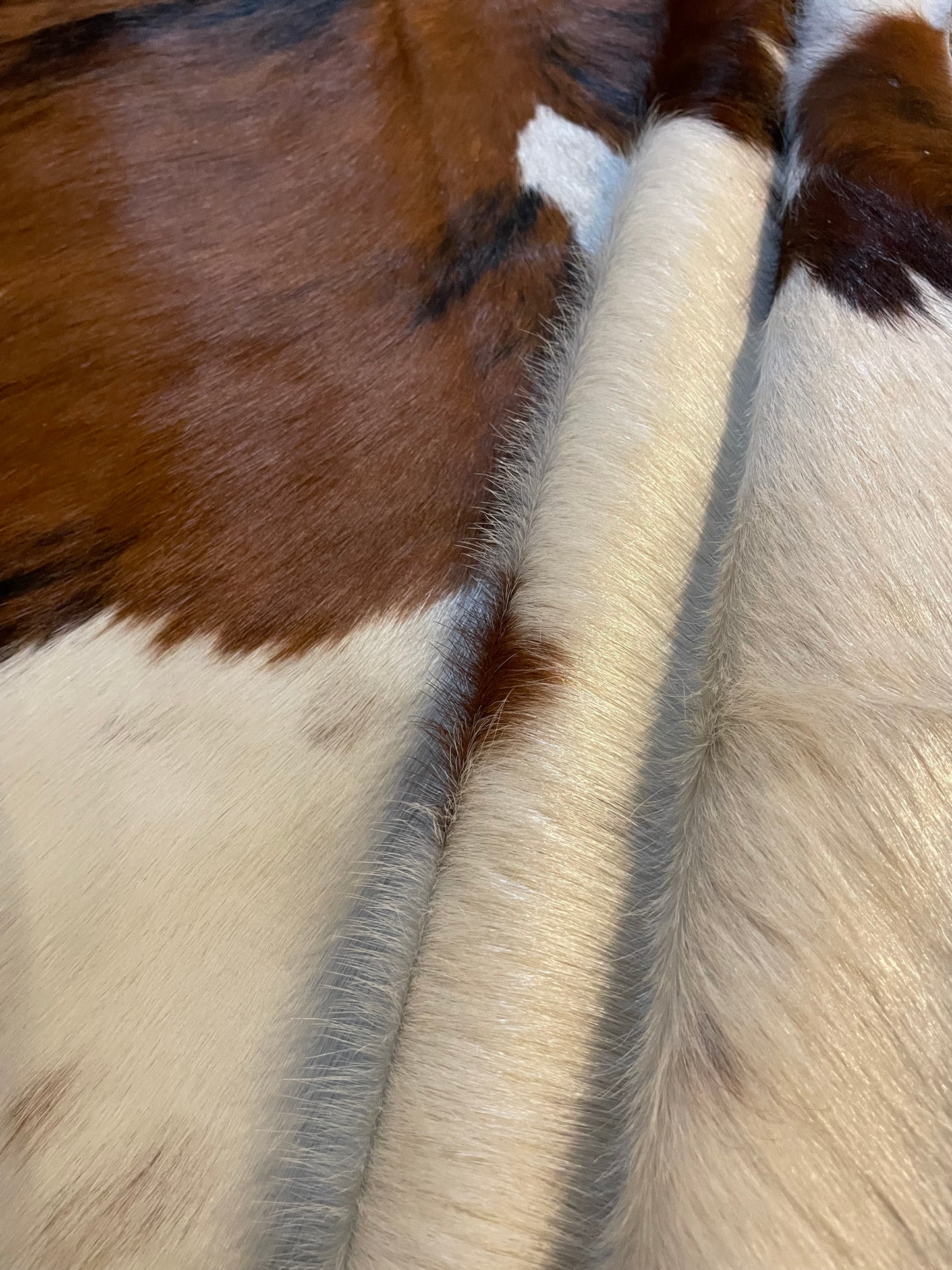Tricolor Cowhide Rug