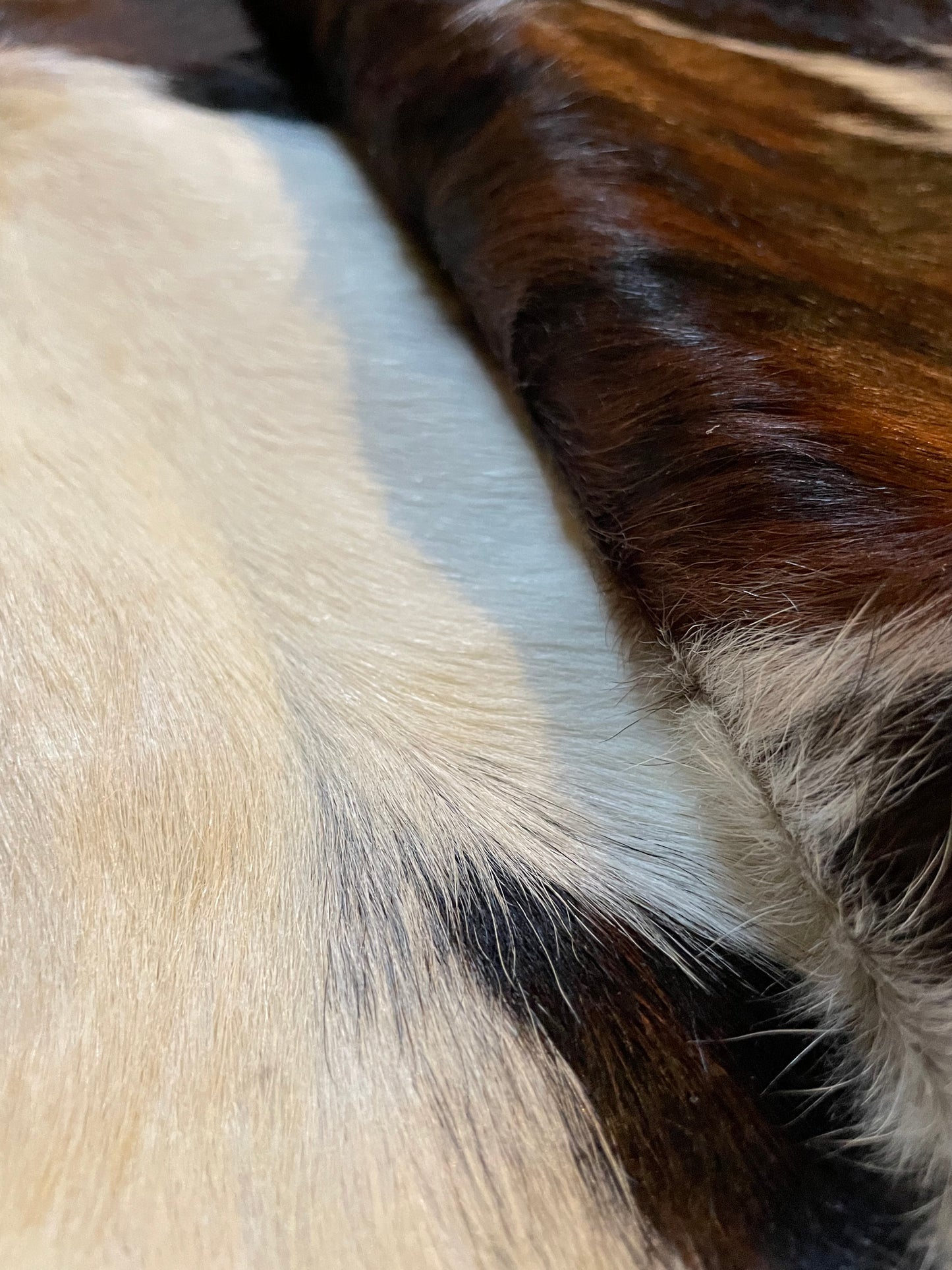 Tricolor Cowhide Rug