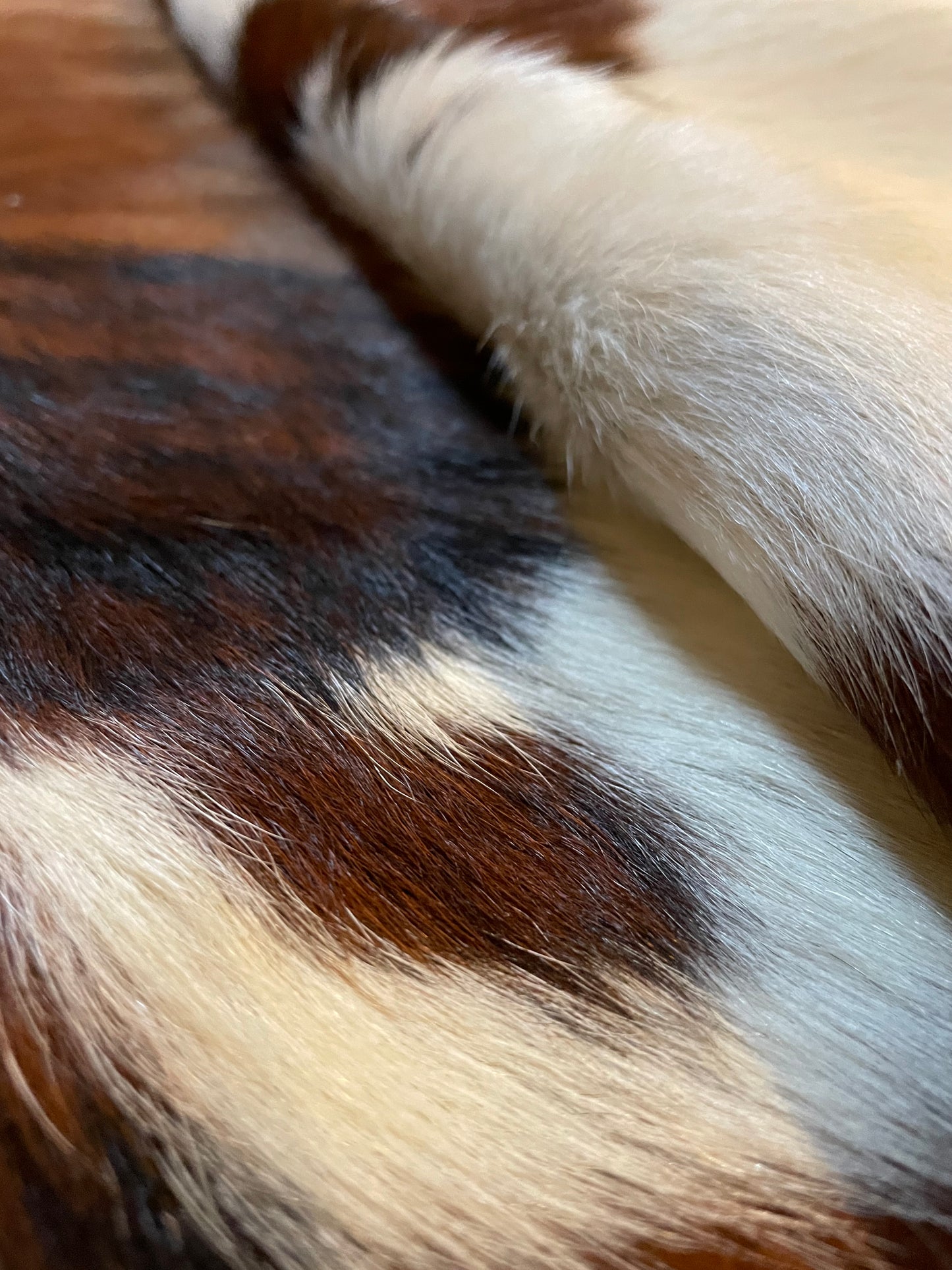 Tricolor Cowhide Rug