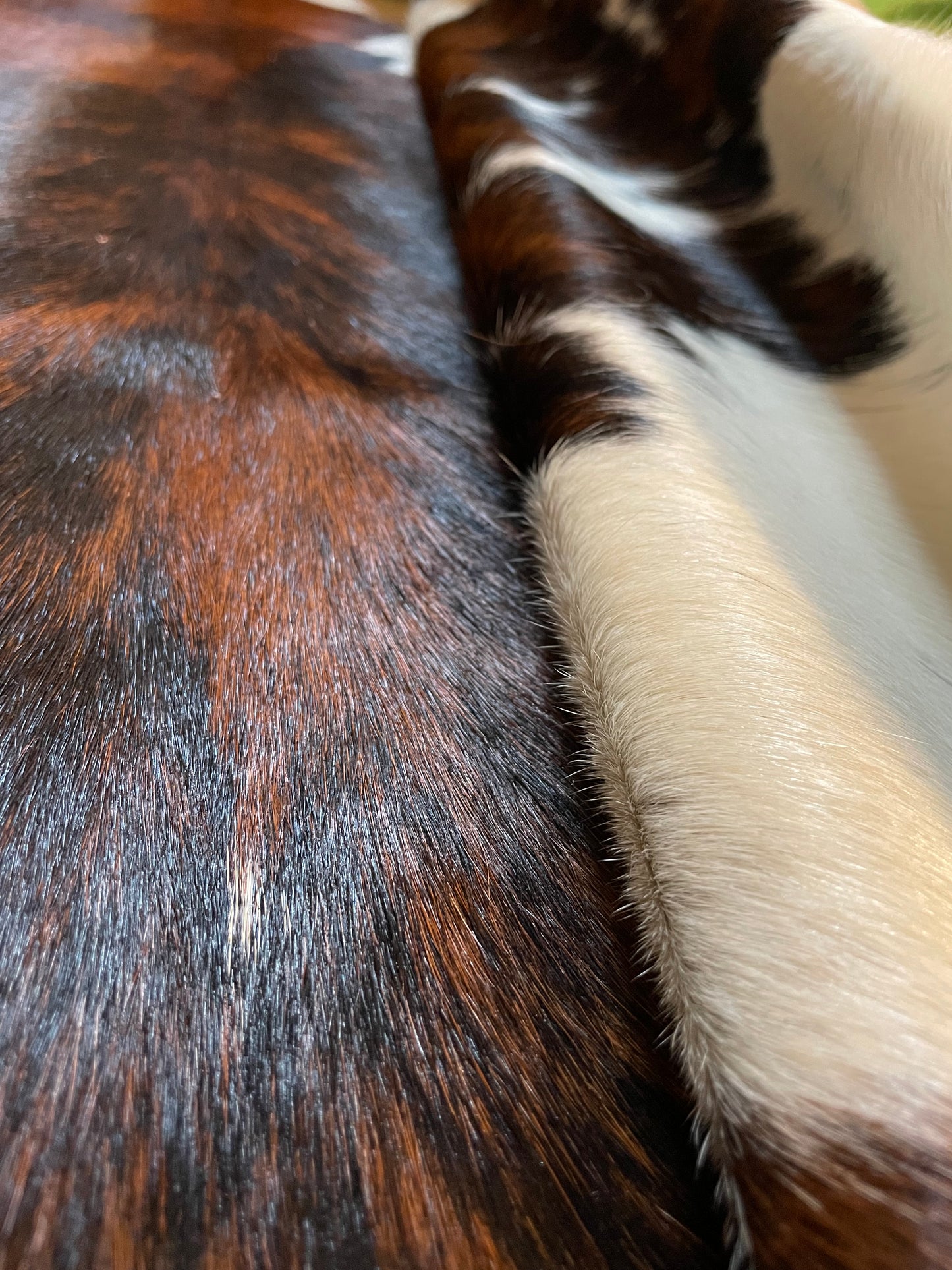 Tricolor Cowhide Rug