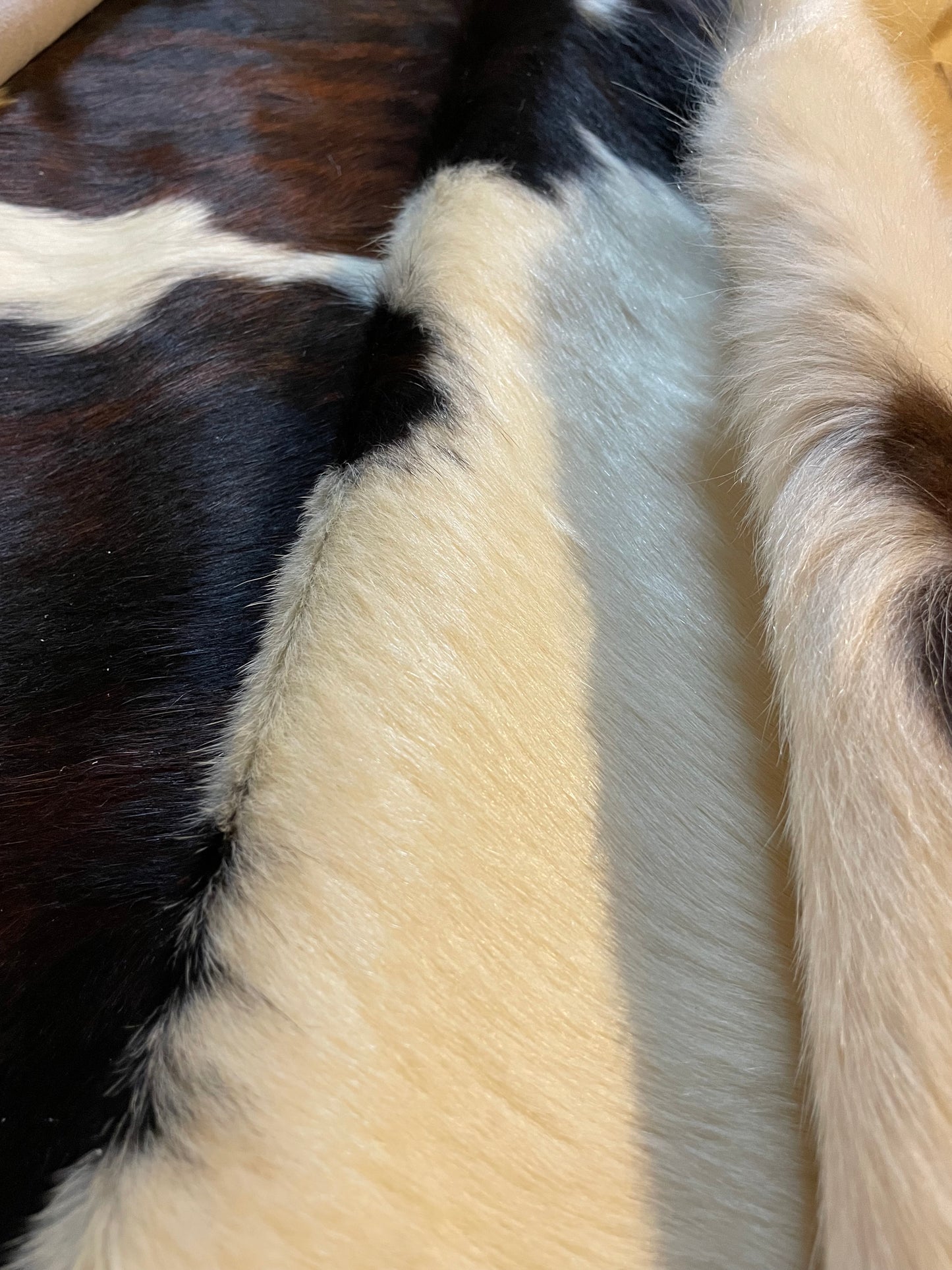 Tricolor Cowhide Rug