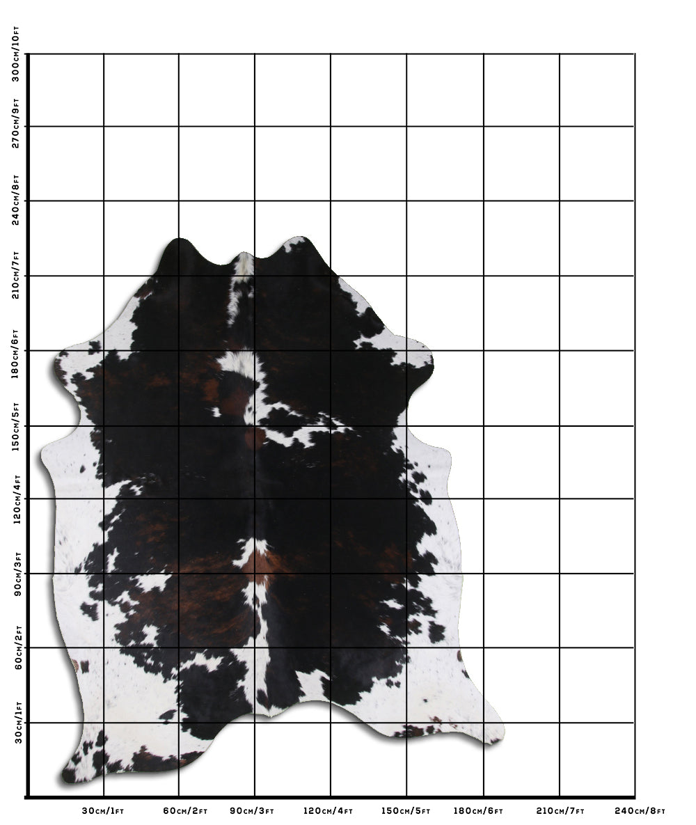 Tricolor Cowhide Rug