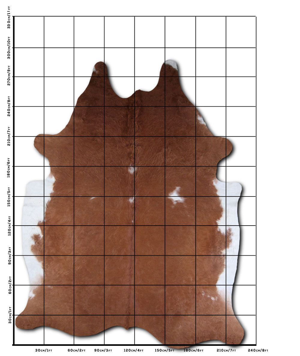 Brown and White Cowhide Rug