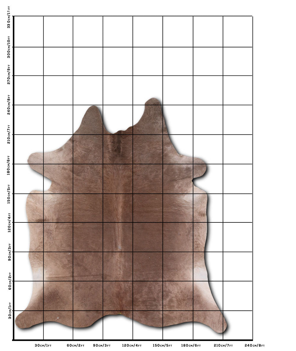 Dark Champagne Cowhide Rug