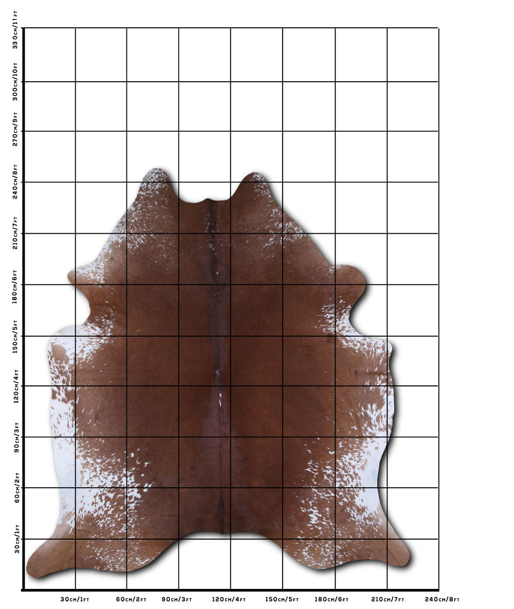 Brown and White Cowhide Rug
