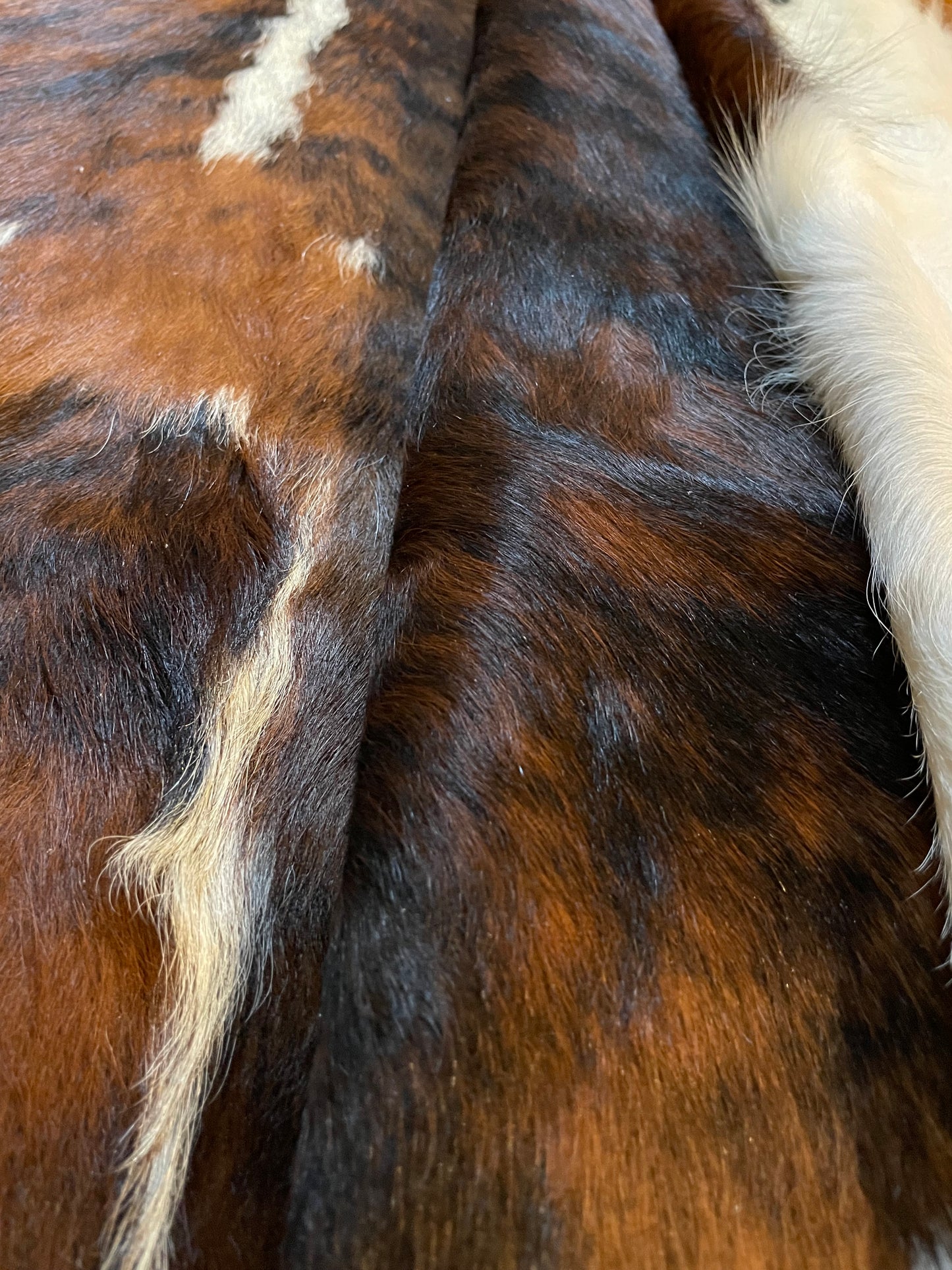 Brindle White Back Bone Cowhide Rug