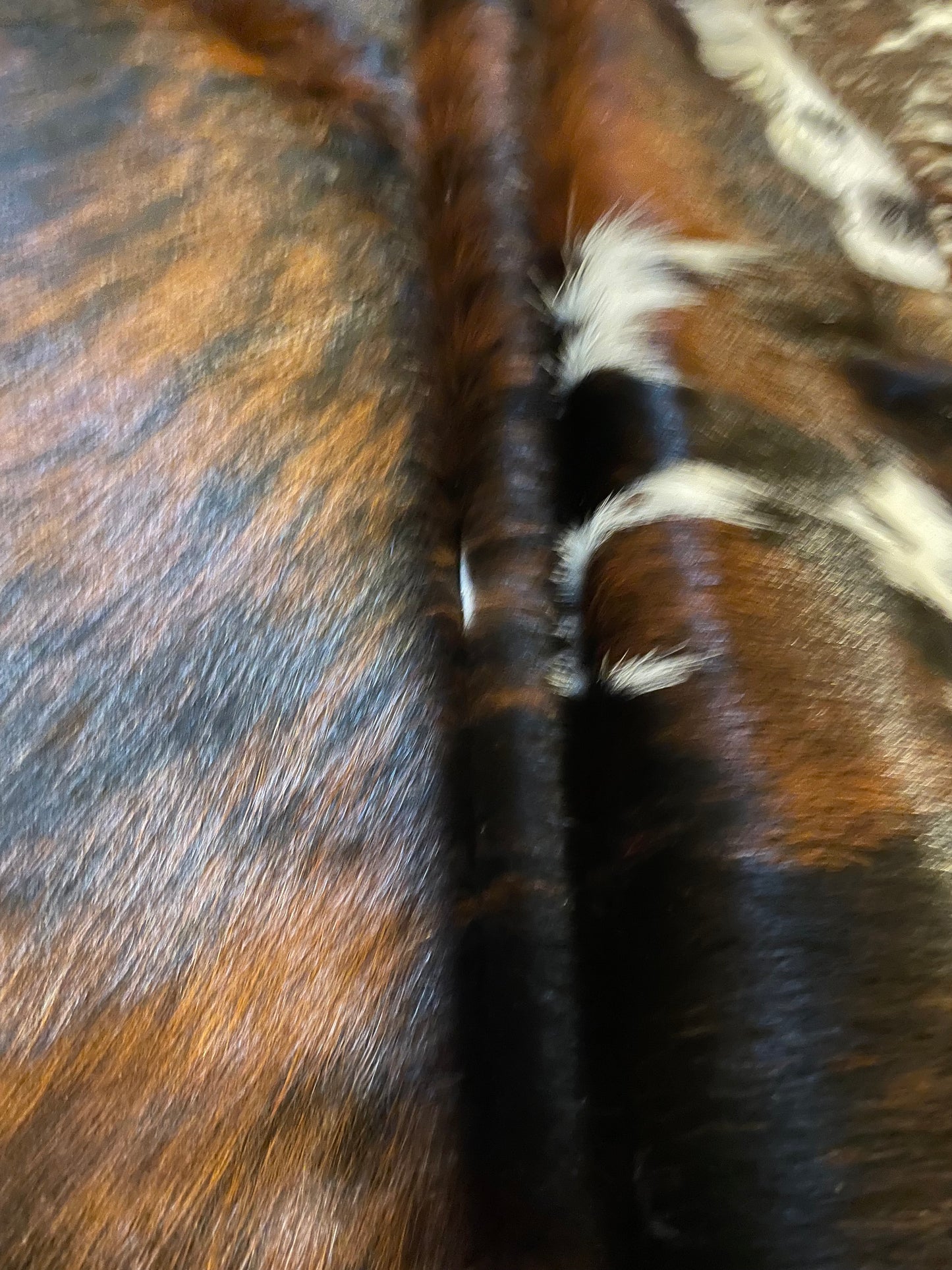 Brindle Cowhide Rug