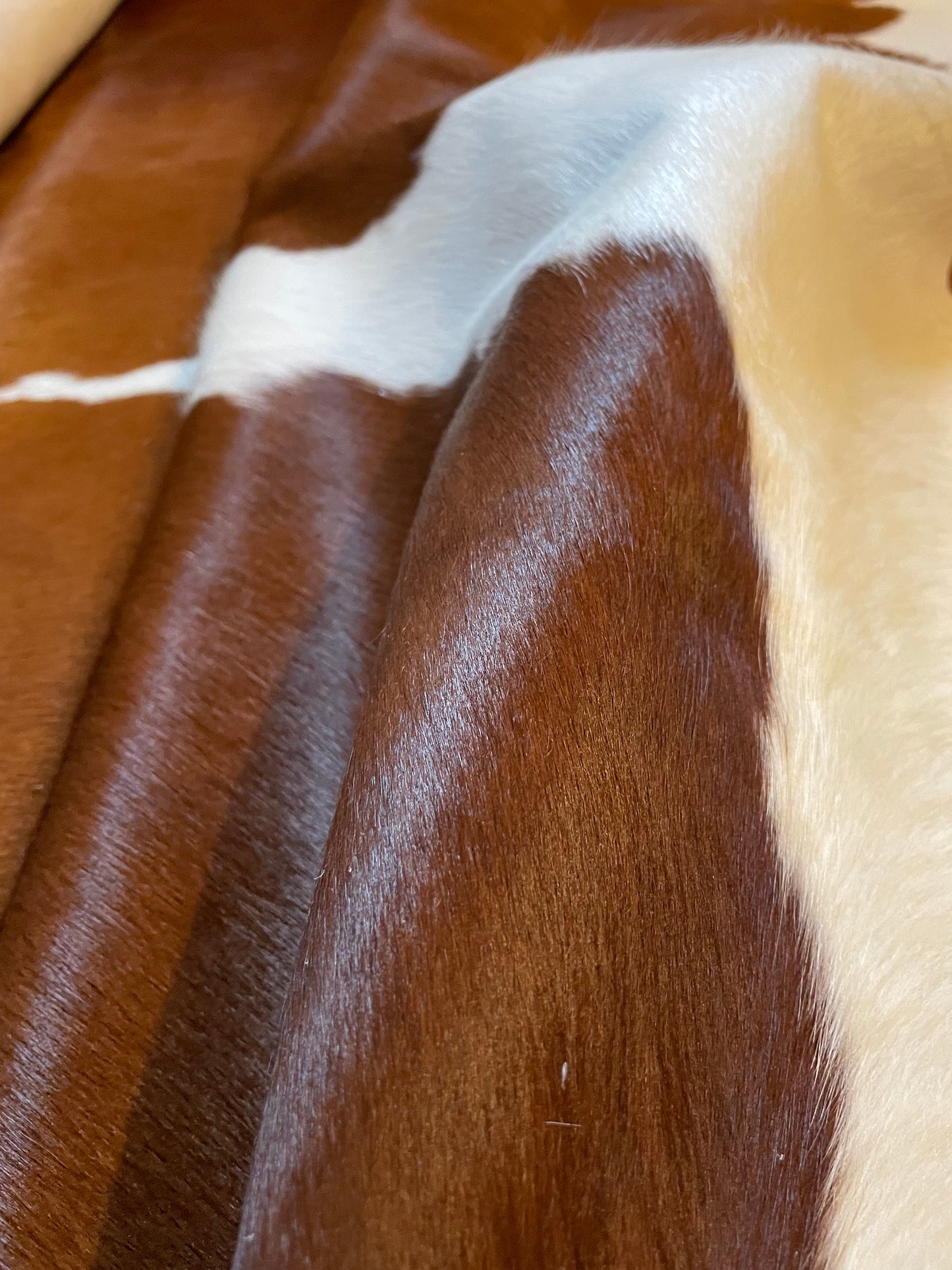 Brown and White Cowhide Rug