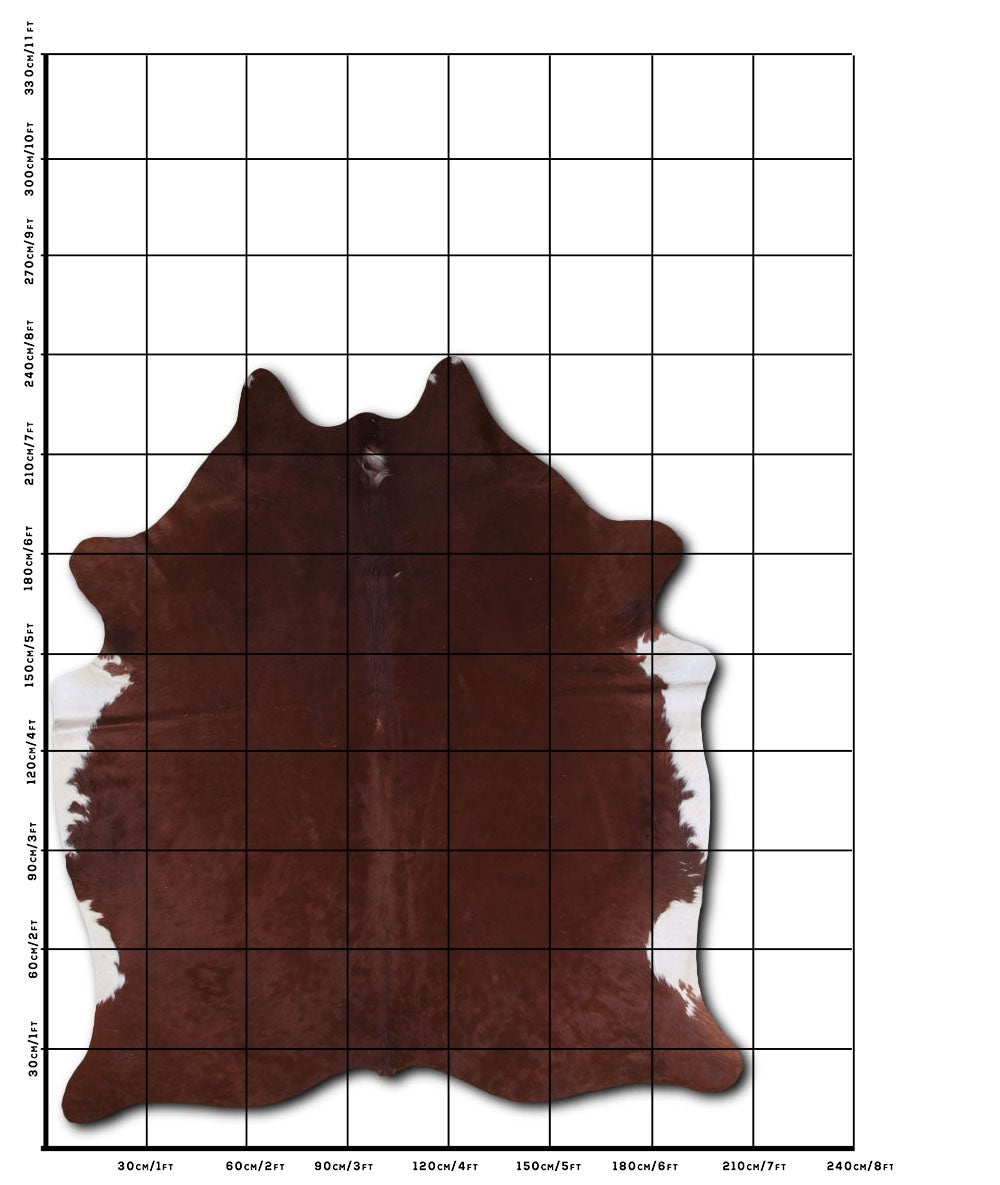 Brown and White Cowhide Rug