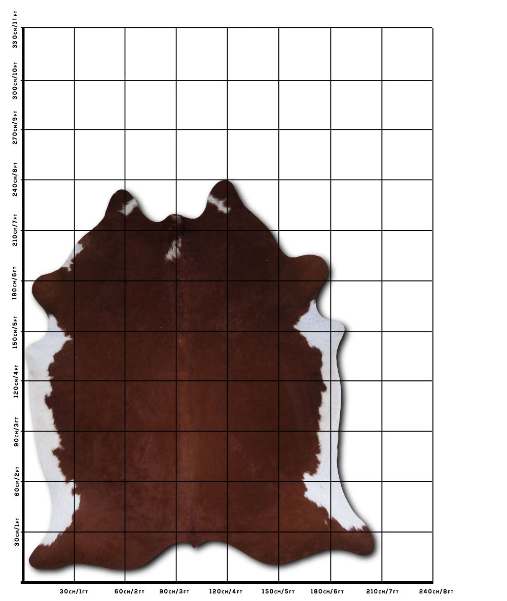 Brown and White Cowhide Rug