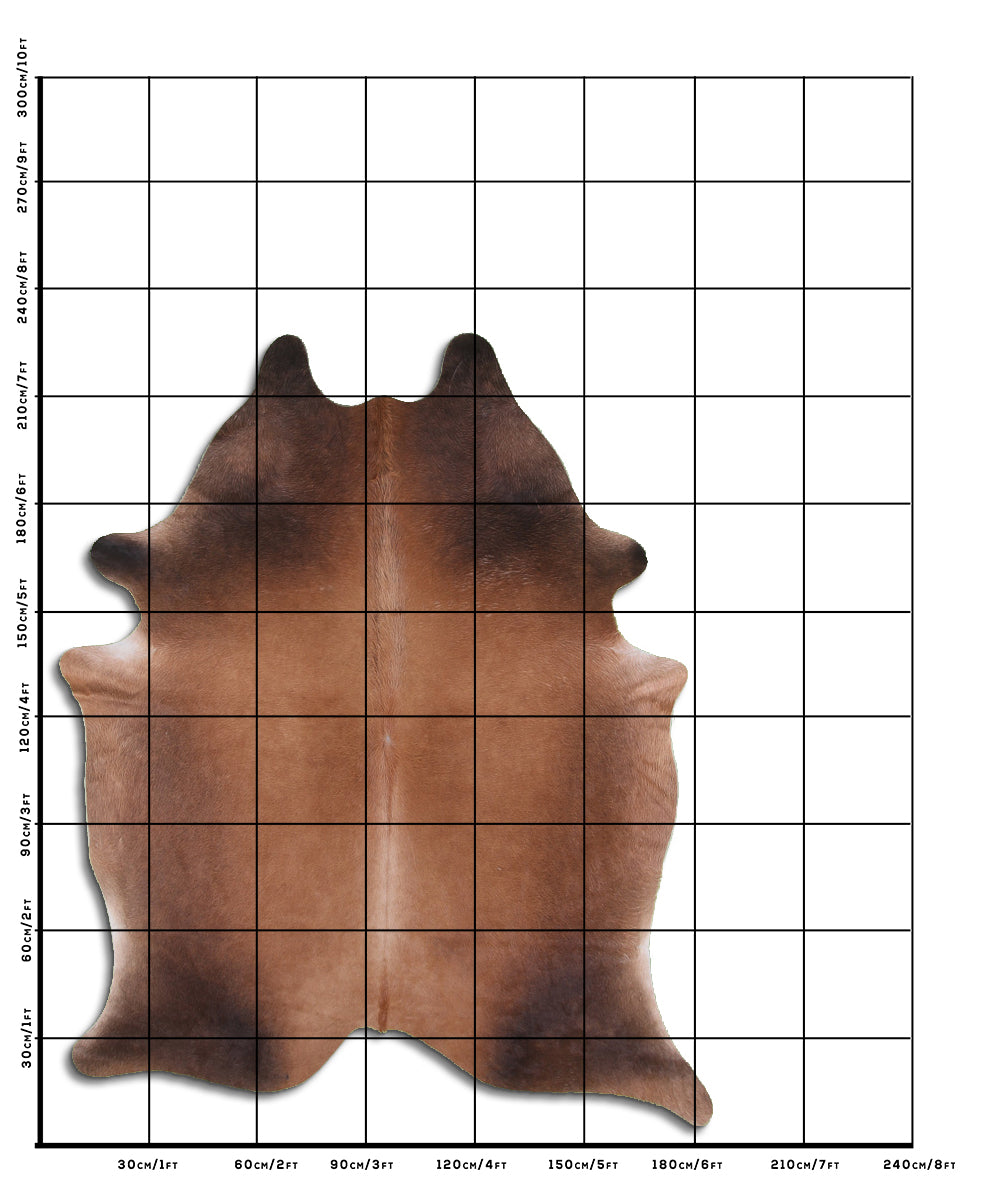Brown and White Cowhide Rug